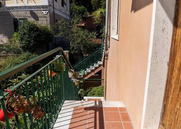 The View بيت للعطل